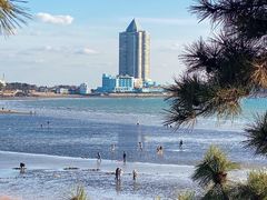 -青岛海滨风景区小鱼山