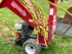 -广东花都香草世界旅游度假区