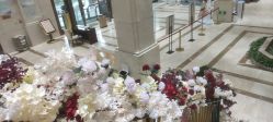 -禾丽康美医疗美容医院