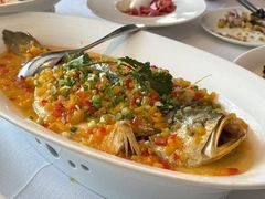 黄椒蒸东海大黄鱼-顺峰(农展馆店)
