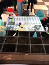 -卡通尼·Safari非洲探索乐园·生日会(金桥国际商业广场店)