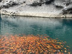-楠溪江风景名胜区