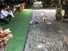 景观位-T館·花园艺术餐厅