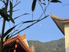 -深圳仙湖植物园
