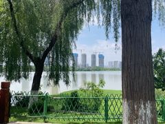 -金银湖国家城市湿地公园