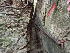 -天女山森林公园