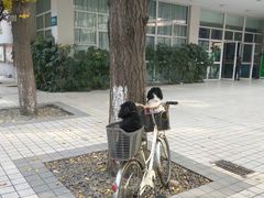 -四川大学华西第四医院