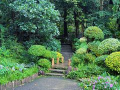 -深圳仙湖植物园