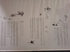 -無用生活空间(北京店)
