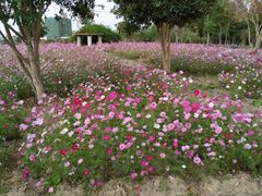 -歌斐颂巧克力小镇