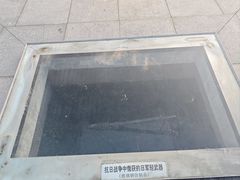 -吴淞炮台湾湿地森林公园烧烤区