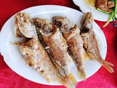 -蛇口康乐快餐鱼仔档(翠苑小区店)