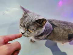-极木²邸 人与宠物·互动社区