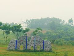 -紫颐香薰山谷景区