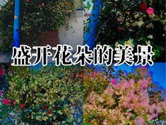 -樱桃沟景区