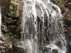 -藏龙百瀑风景区