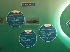 -天津自然博物馆