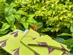 -Laderach 莱德拉(上海环贸iapm店)