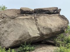 -白水寺森林公园