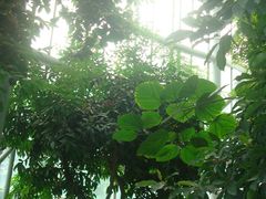 -郑州植物园