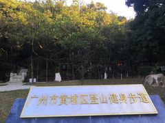 -天鹿湖森林公园
