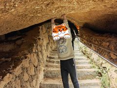 -寻龙山风景旅游区