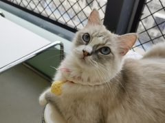 -怪兽屋·羊驼·猫咖·狗咖(俊华广场店)