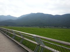 景点-腾冲北海湿地