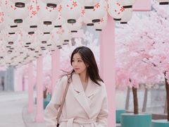 -金茂览秀城