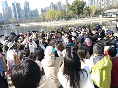 -西北湖绿化广场