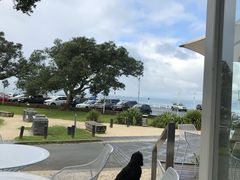 -Takapuna Beach Cafe