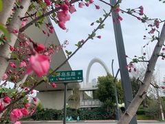 -南京眼步行桥