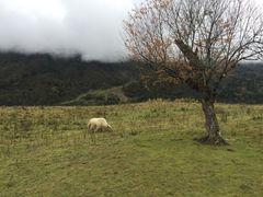 -硗碛藏寨·神木垒景区