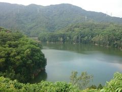 -阳台山森林公园