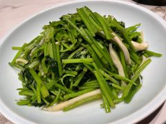 -阿露佳·舌尖上的安吉菜