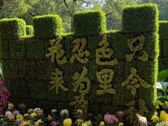 -汇龙潭