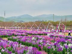 -盈香心动乐园