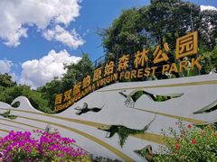 -西双版纳原始森林公园