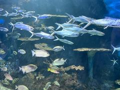 -华夏文旅西安度假区