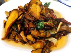 干椒牛肝菌-双喜农庄·菌香园(安居家园店)
