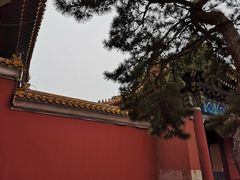 -北京市劳动人民文化宫(太庙)
