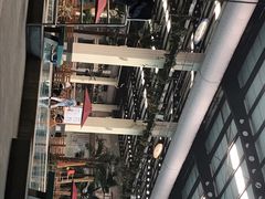 -南宫温泉水世界