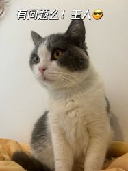 -ChuLian初莲日式美甲美睫