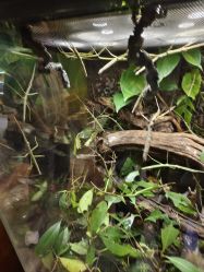 -酷嗒动物文化乐园(cutezoo西溪乐天城店)