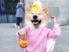 -证大喜玛拉雅中心