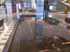 -大和洗浴休闲会所(宏大广场店)