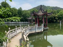 -青龙山国家森林公园