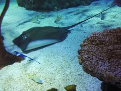 -沈阳海洋探索中心