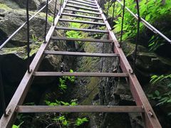 -玉泉威虎山森林公园