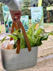 -阿菠萝小猪农场·萌宠乐园·亲子游·研学